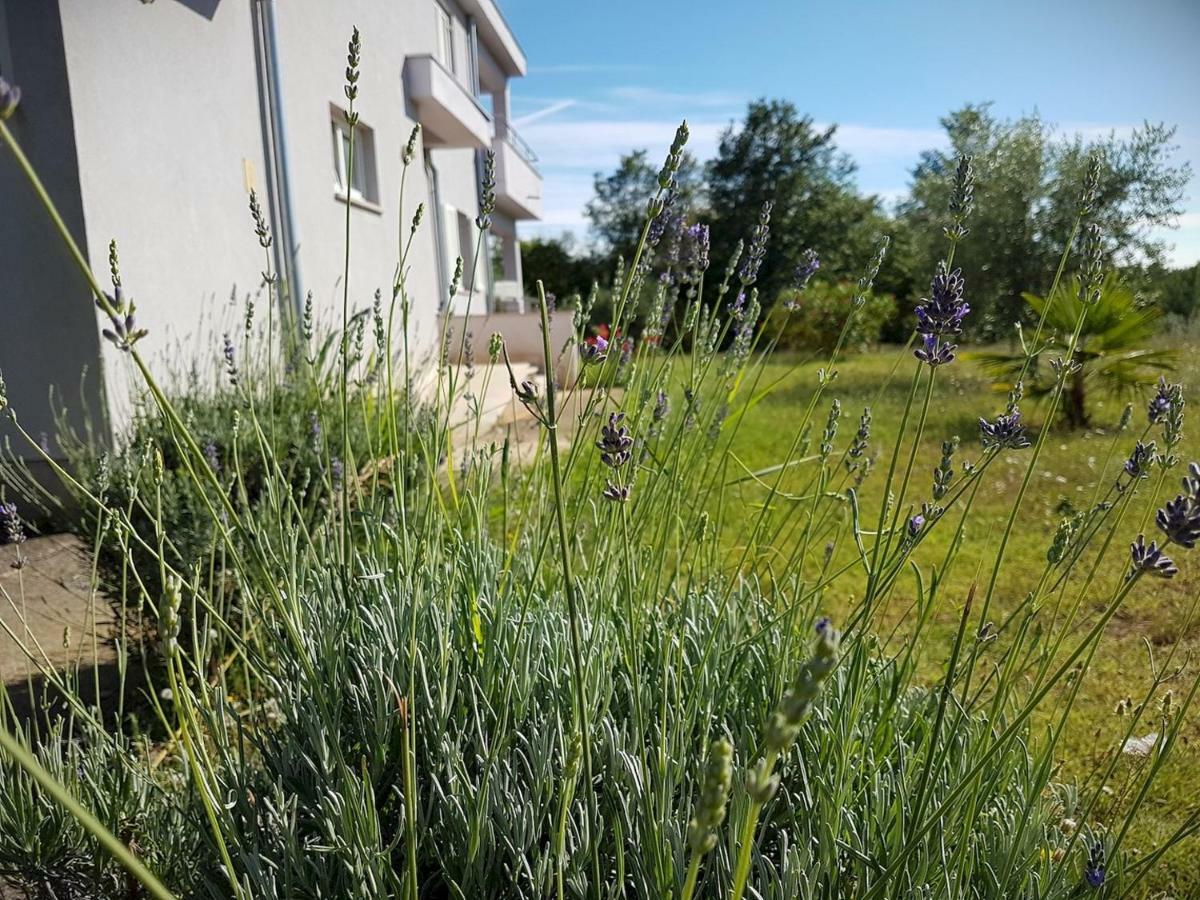 Apartment Vitalia 2+2 Porec Luaran gambar